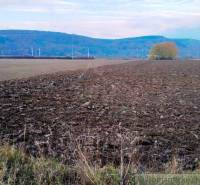 Trenčianske Bohuslavice Mezőgazdasági és erdei telkek eladó reality Nové Mesto nad Váhom