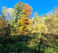 predaj_pozemok_krpacovo_nizke_tatry_06.jpg