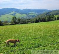 Púchov Kertek eladó reality Púchov