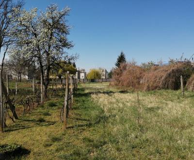 Eladó Építési telek, Építési telek, Komárno, Szlovákia