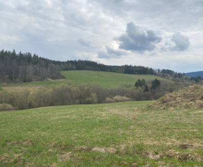 Eladó Üdülőtelkek, Üdülőtelkek, Dolný Kubín, Szlovákia