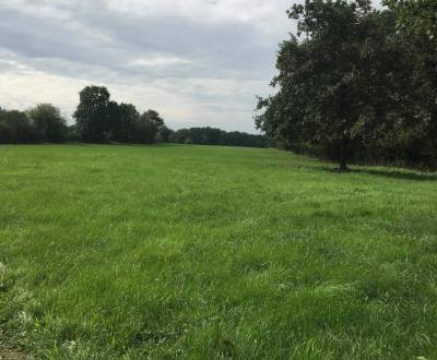 Eladó Mezőgazdasági és erdei telkek, Mezőgazdasági és erdei telkek, Kr