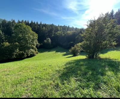 Eladó Üdülőtelkek, Üdülőtelkek, Zbora, Púchov, Szlovákia