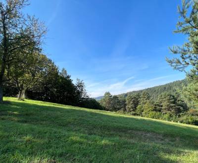 Eladó Üdülőtelkek, Üdülőtelkek, Zbora, Púchov, Szlovákia