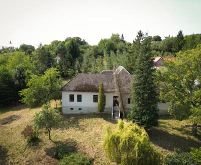 Eladó Nyaraló, Nyaraló, Hrubá Strana, Nové Mesto nad Váhom, Szlovákia