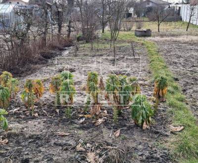 Eladó Építési telek, Malacky, Szlovákia