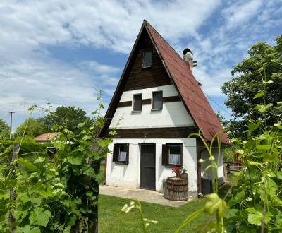 Eladó Szőlőstelkek, Szőlőstelkek, Komárno, Szlovákia