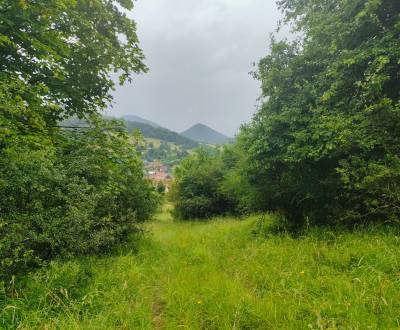 Eladó Üdülőtelkek, Üdülőtelkek, Kysucké Nové Mesto, Szlovákia