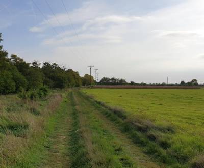 Eladó Üdülőtelkek, Üdülőtelkek, Potočná, Pezinok, Szlovákia