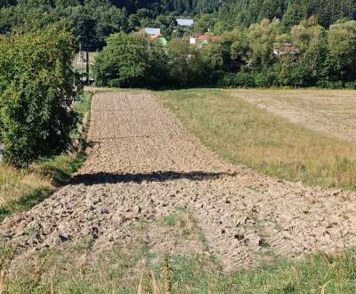 Eladó Mezőgazdasági és erdei telkek, Mezőgazdasági és erdei telkek, Šu