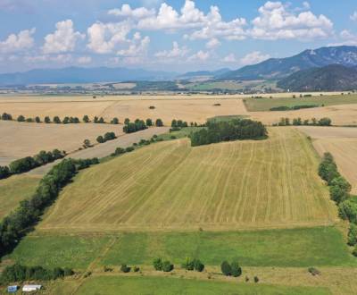 Eladó Mezőgazdasági és erdei telkek, Mezőgazdasági és erdei telkek, Mo