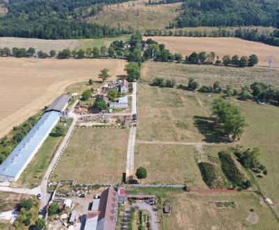 Eladó Mezőgazdasági és erdei telkek, Mezőgazdasági és erdei telkek, Mo