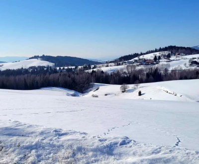 Eladó Üdülőtelkek, Üdülőtelkek, Detva, Szlovákia