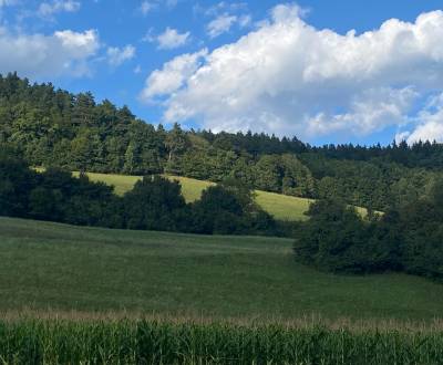 Eladó Üdülőtelkek, Üdülőtelkek, Mestečko, Púchov, Szlovákia