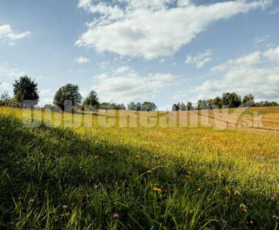 Eladó Építési telek, Építési telek, Vrchdobroč, Detva, Szlovákia