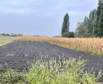 Eladó Építési telek, Építési telek, Dunajská Streda, Szlovákia