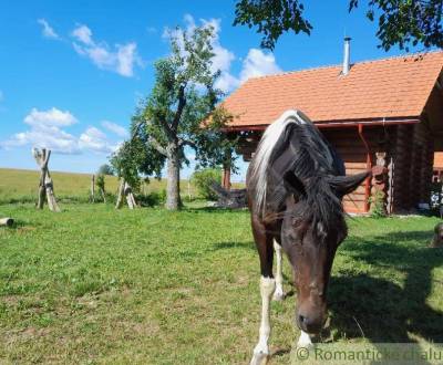 Eladó Nyaraló, Nyaraló, Krupina, Szlovákia