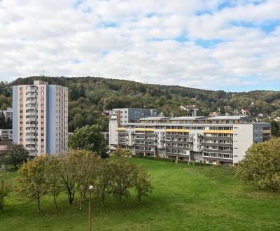 Eladó 1 szobás lakás, 1 szobás lakás, Pod záhradami, Bratislava - Dúbr