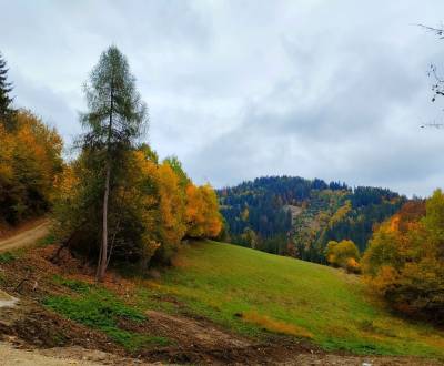 Eladó Üdülőtelkek, Üdülőtelkek, Veľké Rovné, Bytča, Szlovákia