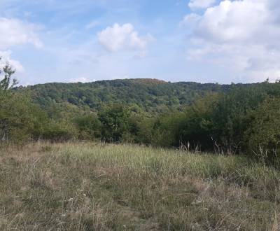 Eladó Üdülőtelkek, Üdülőtelkek, Horné Jabloňovce, Levice, Szlovákia