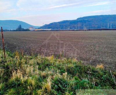 Eladó Mezőgazdasági és erdei telkek, Mezőgazdasági és erdei telkek, No