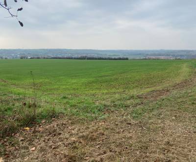 Eladó Szőlőstelkek, Szőlőstelkek, Zadná hora - Vinice, Levice, Szlovák