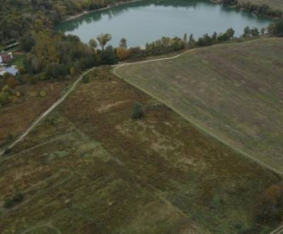 Eladó Mezőgazdasági és erdei telkek, Mezőgazdasági és erdei telkek, Hv