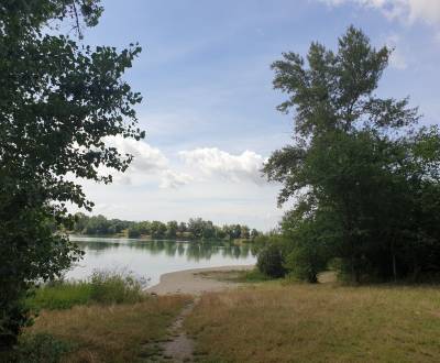 Eladó Mezőgazdasági és erdei telkek, Mezőgazdasági és erdei telkek, Hv