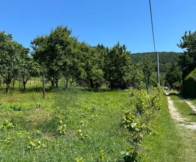 Eladó Építési telek, Építési telek, Azalková, Nitra, Szlovákia