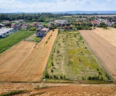 Eladó Építési telek, Építési telek, Senecká, Senec, Szlovákia