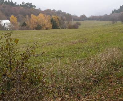 Eladó Üdülőtelkek, Üdülőtelkek, Hrnčiarové - Lubina, Nové Mesto nad Vá