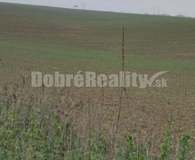 Eladó Mezőgazdasági és erdei telkek, Mezőgazdasági és erdei telkek, Na