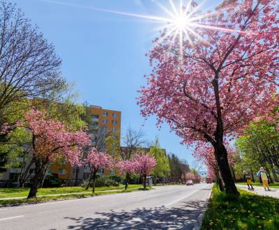 Eladó 2 szobás lakás, 2 szobás lakás, Soblahovská, Trenčín, Szlovákia