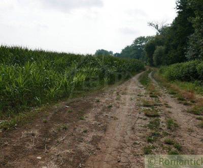 Eladó Mezőgazdasági és erdei telkek, Mezőgazdasági és erdei telkek, Pe