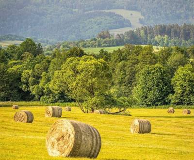 Eladó Mezőgazdasági és erdei telkek, Mezőgazdasági és erdei telkek, Re