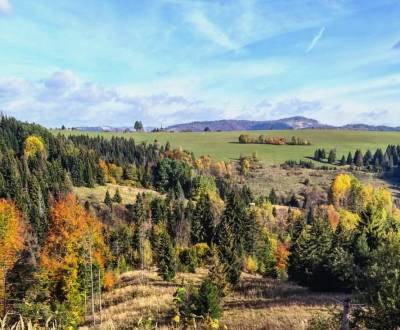 Eladó Mezőgazdasági és erdei telkek, Mezőgazdasági és erdei telkek, Ži