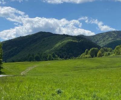 Eladó Mezőgazdasági és erdei telkek, Mezőgazdasági és erdei telkek, Br