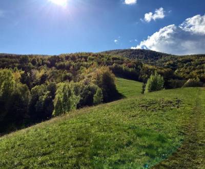 Eladó Mezőgazdasági és erdei telkek, Mezőgazdasági és erdei telkek, Re