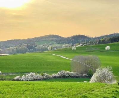 Eladó Mezőgazdasági és erdei telkek, Mezőgazdasági és erdei telkek, Ba