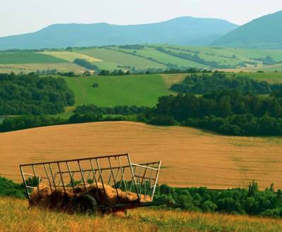 Eladó Mezőgazdasági és erdei telkek, Mezőgazdasági és erdei telkek, Vr