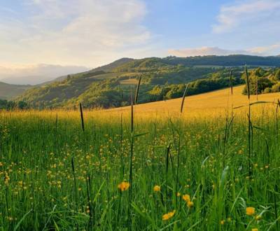 Eladó Mezőgazdasági és erdei telkek, Mezőgazdasági és erdei telkek, Ži