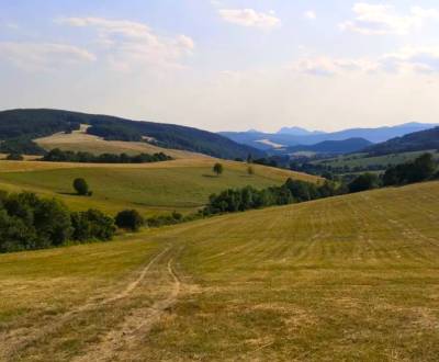 Eladó Mezőgazdasági és erdei telkek, Mezőgazdasági és erdei telkek, Pú