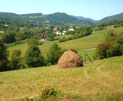 Eladó Mezőgazdasági és erdei telkek, Mezőgazdasági és erdei telkek, Po