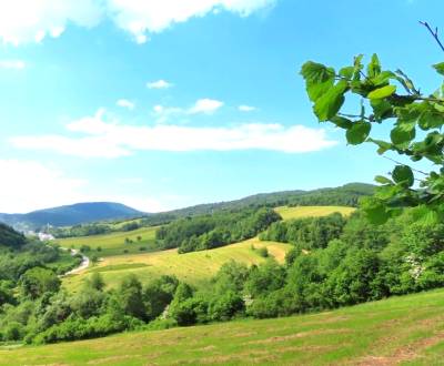 Eladó Mezőgazdasági és erdei telkek, Mezőgazdasági és erdei telkek, Me