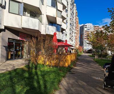 Eladó 2 szobás lakás, 2 szobás lakás, Fedinova, Bratislava - Petržalka