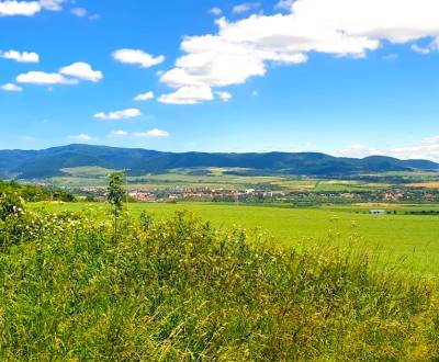 Eladó Mezőgazdasági és erdei telkek, Mezőgazdasági és erdei telkek, Sa