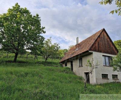 Eladó Családi ház, Családi ház, Levice, Szlovákia