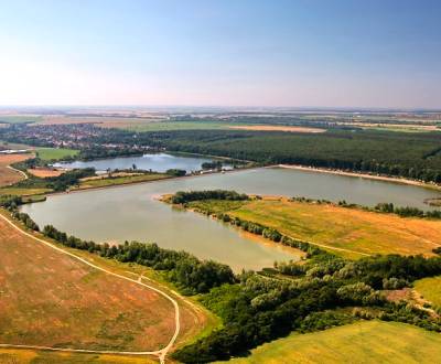 Eladó Mezőgazdasági és erdei telkek, Mezőgazdasági és erdei telkek, Pe