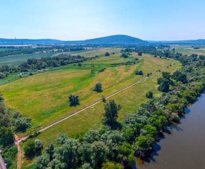 Eladó Mezőgazdasági és erdei telkek, Mezőgazdasági és erdei telkek, Br