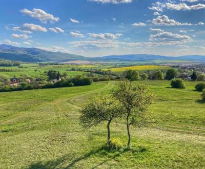 Eladó Mezőgazdasági és erdei telkek, Mezőgazdasági és erdei telkek, Ži